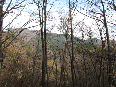 20151116hike (122)